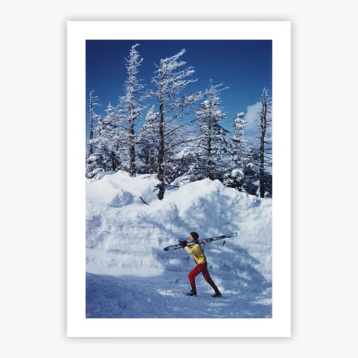 Skier In Vermont - Image 2