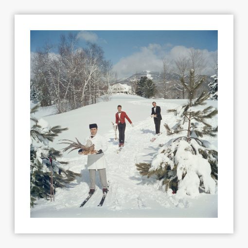 Skiing Waiters - Image 2