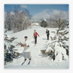 Skiing Waiters