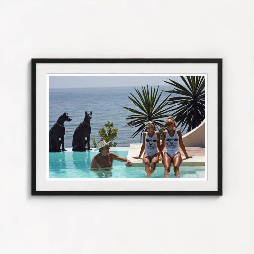 Cats And Dogs - Image 3