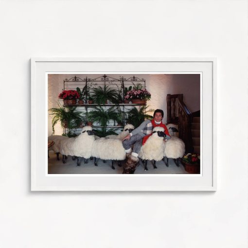 Counting Sheep - Image 5