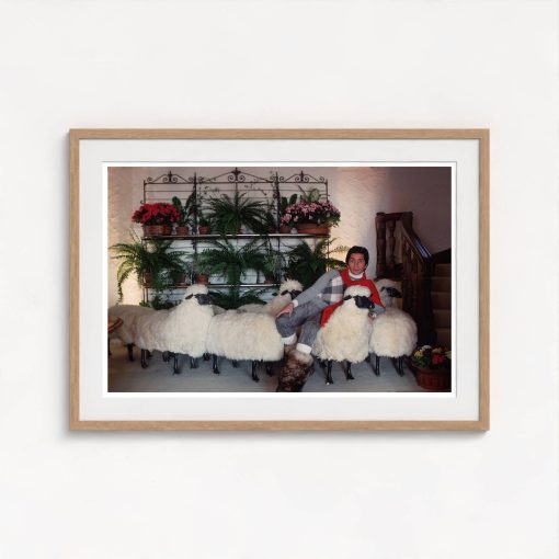 Counting Sheep - Image 7