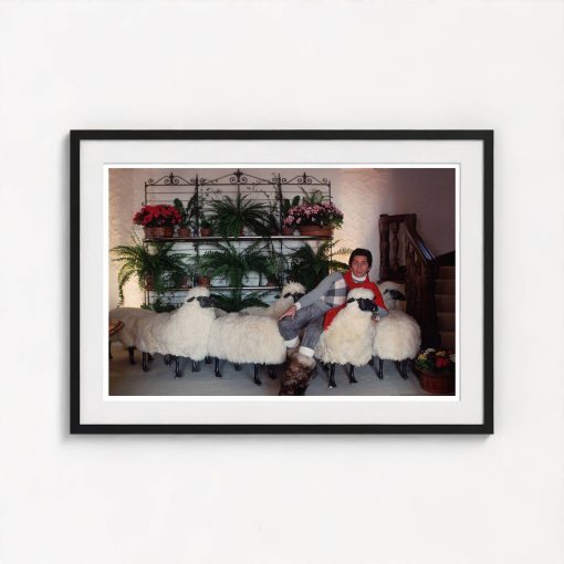Counting Sheep - Image 3