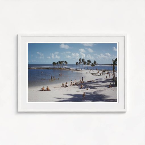 Matheson Hammock Park - Image 5
