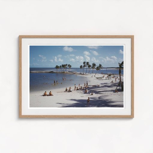 Matheson Hammock Park - Image 7