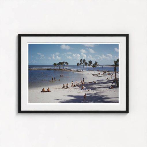 Matheson Hammock Park - Image 3