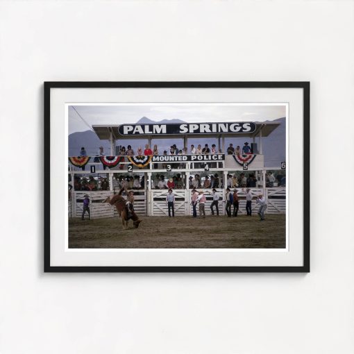 Palm Springs Rodeo - Image 3