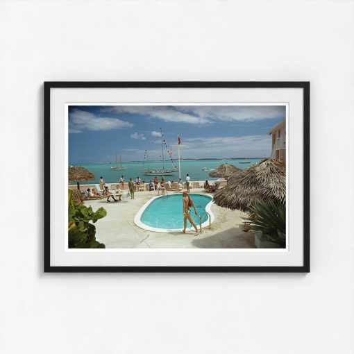 Peace And Plenty - Image 3
