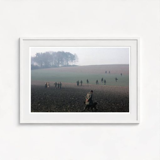 Schonborn Palace - Image 5