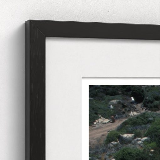 Summer Home - Image 4