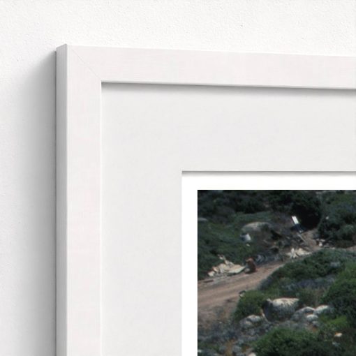 Summer Home - Image 6