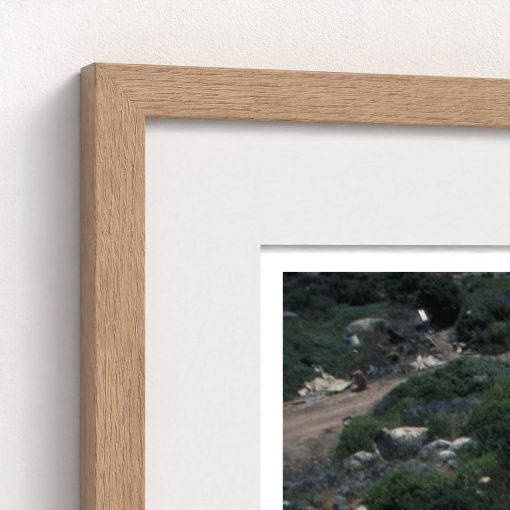 Summer Home - Image 8