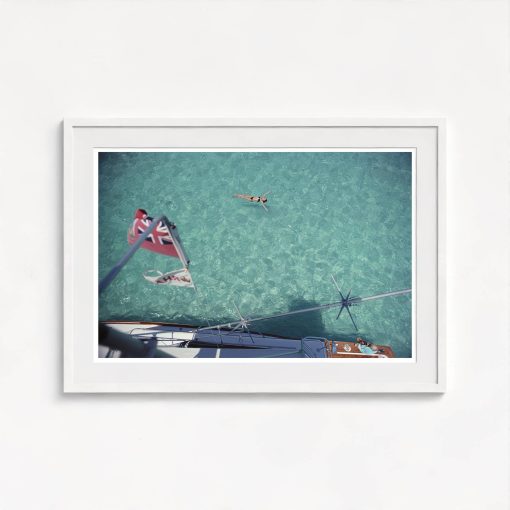 Swimming In Bermuda - Image 5