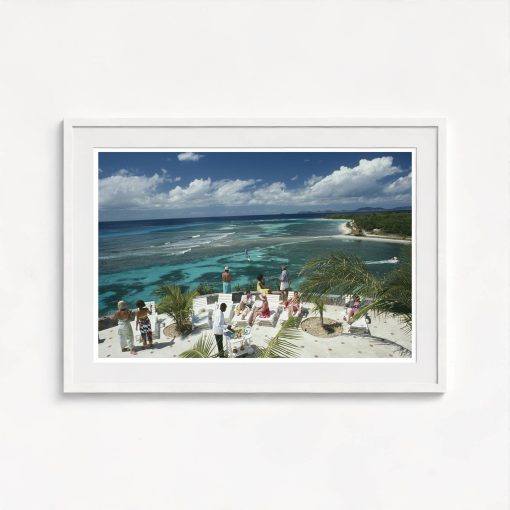 Tropical Mustique - Image 5