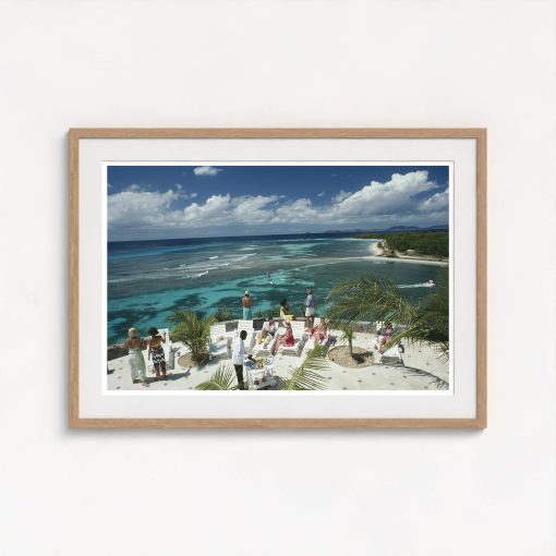 Tropical Mustique - Image 7