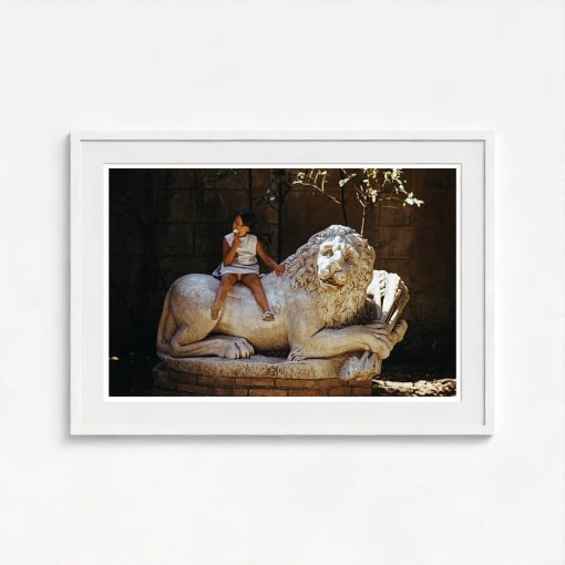 Villa Borghese Lion - Image 5