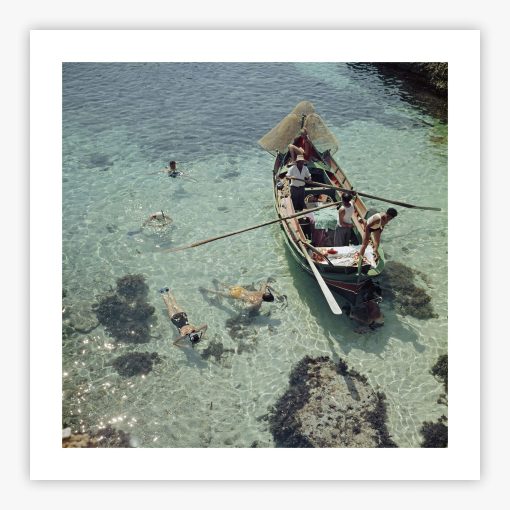 Snorkelling In The Shallows - Image 2