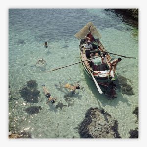 Snorkelling In The Shallows