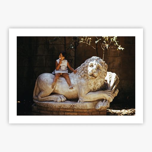 Villa Borghese Lion - Image 2