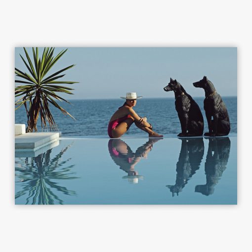 Pantz Pool