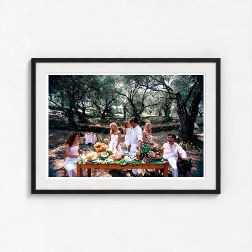 Corfu Picnic - Image 3