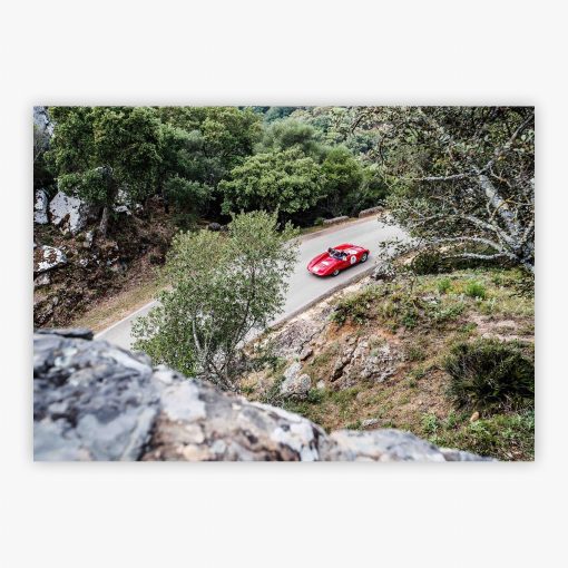 Sotogrande Drive