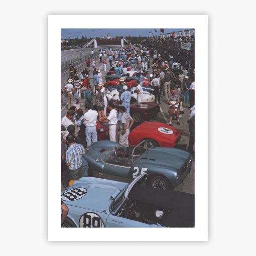 Bahamas Speed Week - Image 2