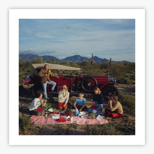 Barrett Family Picnic - Image 2