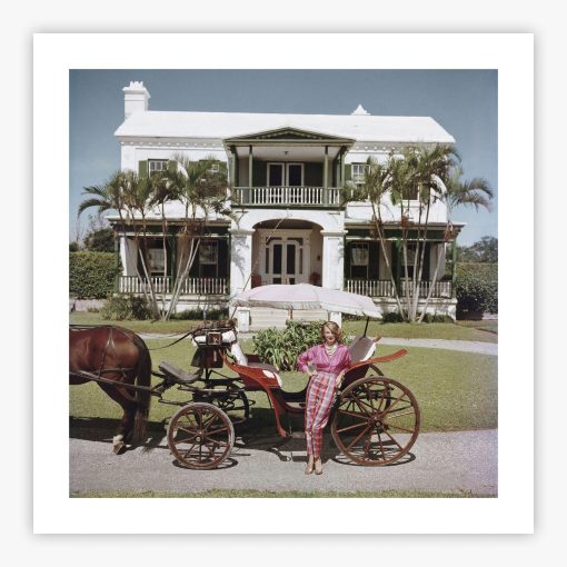 Bermudan Hostess - Image 2