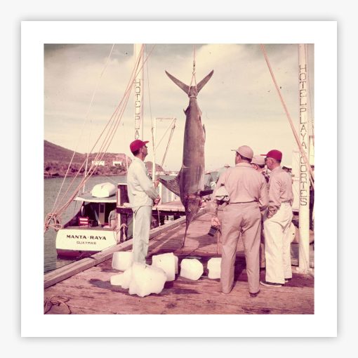 Big Catch - Image 2