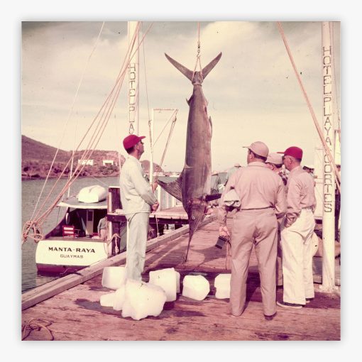 Big Catch