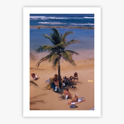Caribe Hilton Beach - Image 2