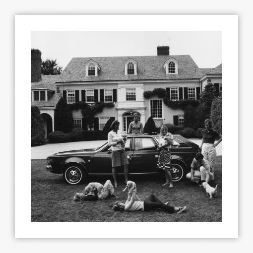 Chapin Family - Image 2