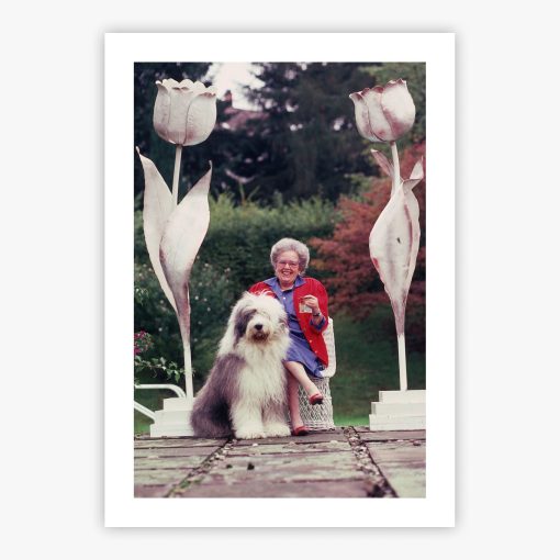 Countess Hardenberg - Image 2