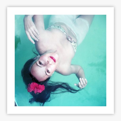 Dip For Dolores - Image 2