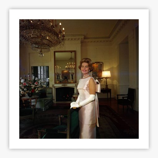 Diplomatic Wife - Image 2