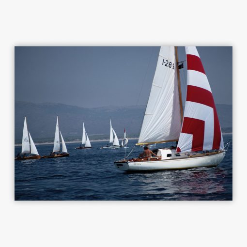 Flotilla