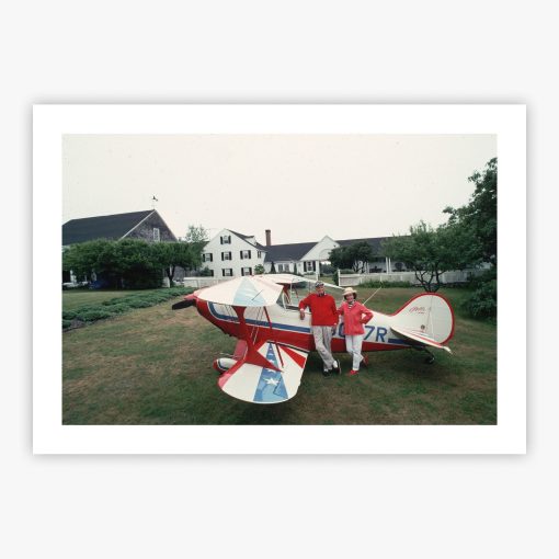 Flying Beetle - Image 2