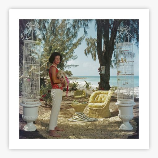 Gloria Schiff - Image 2