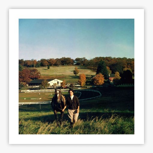 Horse Farmer - Image 2