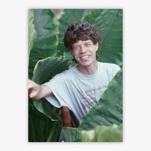 Jagger On Holiday