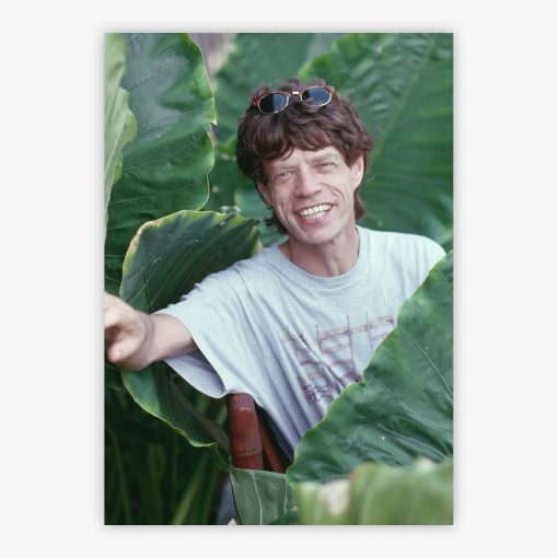 Jagger On Holiday