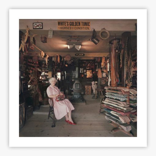 Museum Trader - Image 2