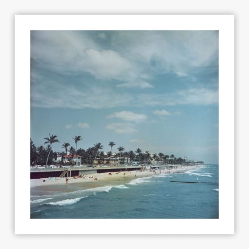 Palm Beach - Image 2
