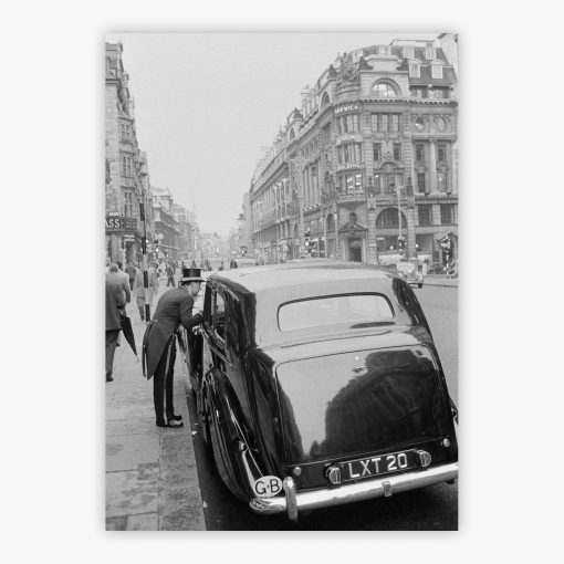 Piccadilly Elegance