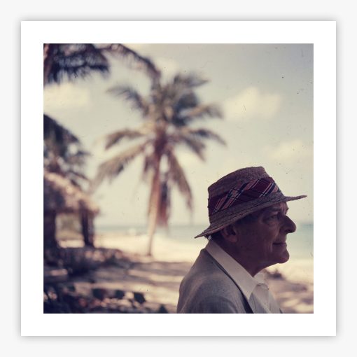 Poets Paradise - Image 2