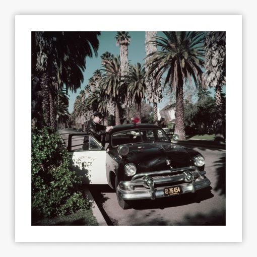 Police Patrolman - Image 2
