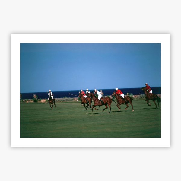 Polo By The Sea