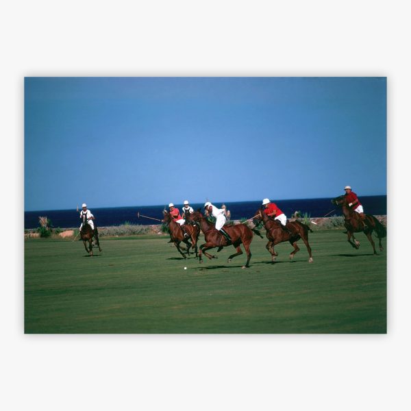 Polo By The Sea