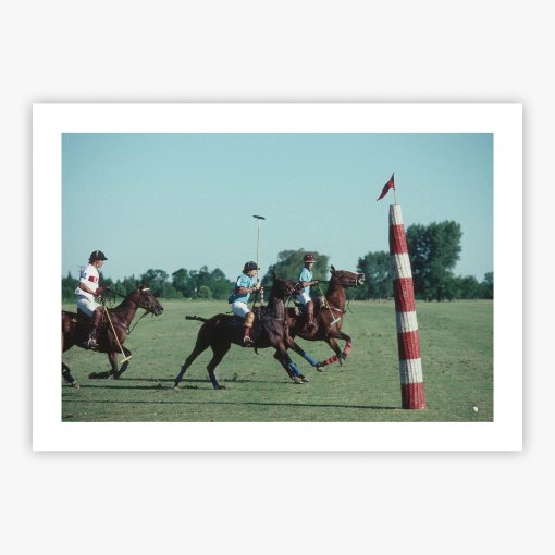 Polo Match - Image 2
